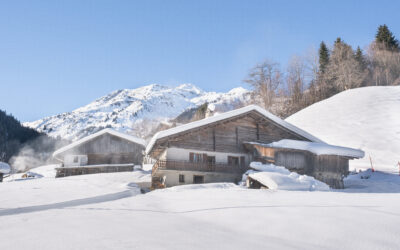 Architecture de montagne : le chalet